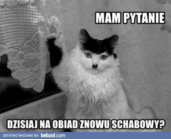 
    Pytanko