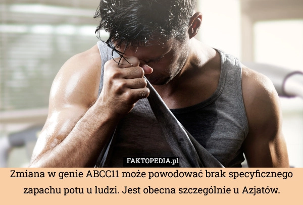 Zmiana w genie ABCC11 może powodować brak specyficznego zapachu potu u ludzi.