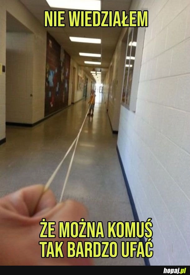
    Zaufanie