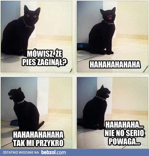 
    Co za pech!
