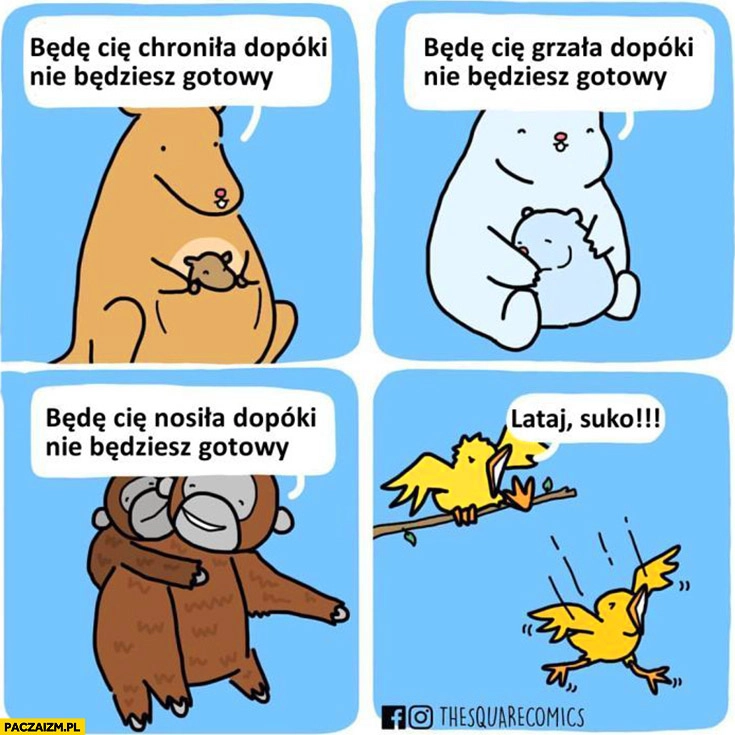 
    Zwierzęta: będę Cię chronić, grzać, nosić dopóki nie będziesz gotowy, ptaki: lataj suko