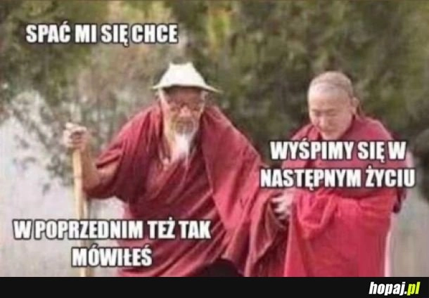 To może w kolejnym