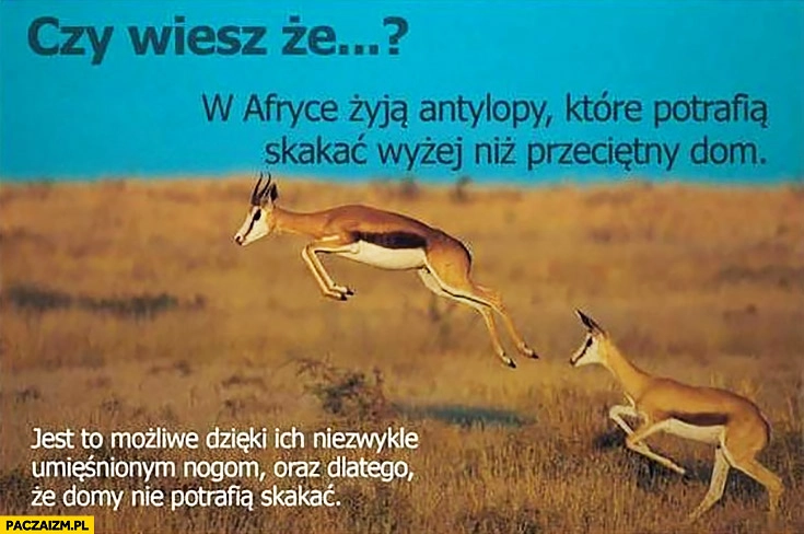 
    Czy wiesz, że w Afryce żyją antylopy które potrafią skakać wyżej niż przeciętny dom? Dlatego, że domy nie potrafią skakać