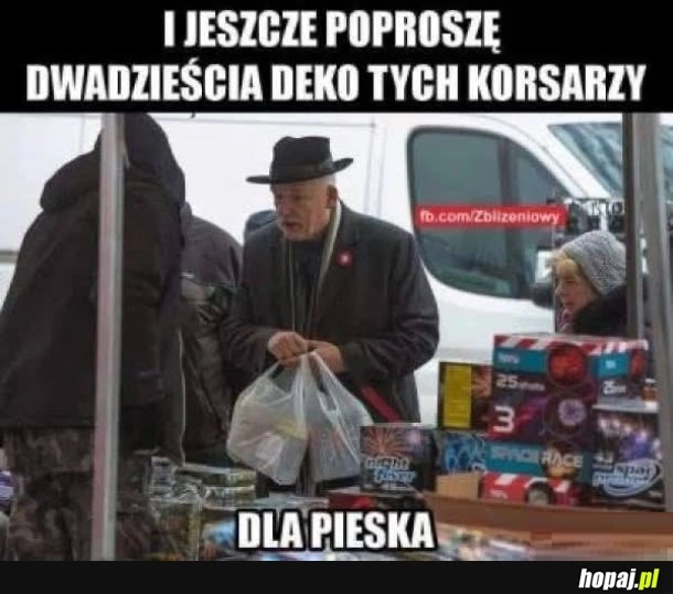 Korsarze dla pieska