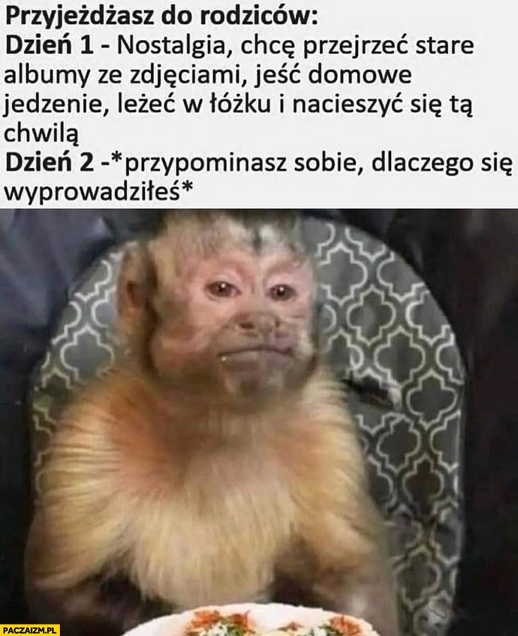 Przyjeżdżasz do rodziców dzień 2 przypominasz sobie dlaczego się wyprowadziłeś