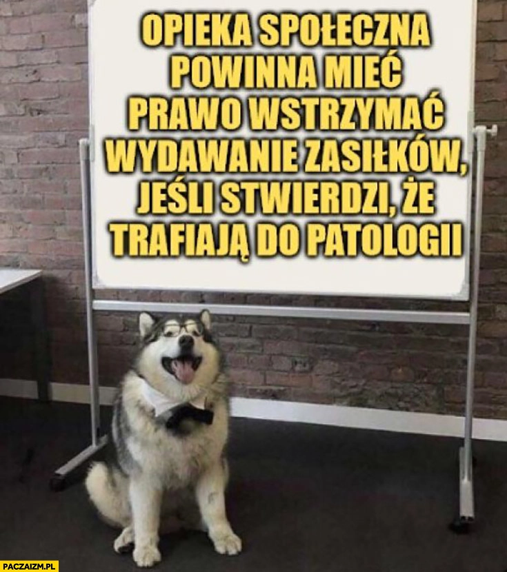
    Opieka społeczna powinna mieć prawo wstrzymać wydawanie zasiłków jeśli stwierdzi że trafiają do patologii