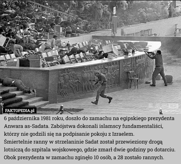 
    6 października 1981 roku, doszło do zamachu na egipskiego prezydenta Anwara
