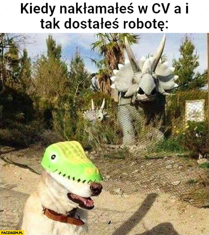 
    Pies kiedy nakłamałeś w CV a i tak dostałeś te robotę dinozaury