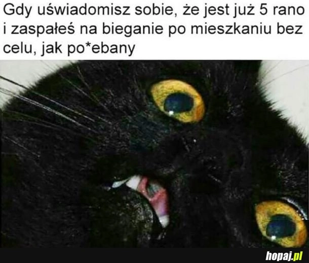 
    Przepadlo xd