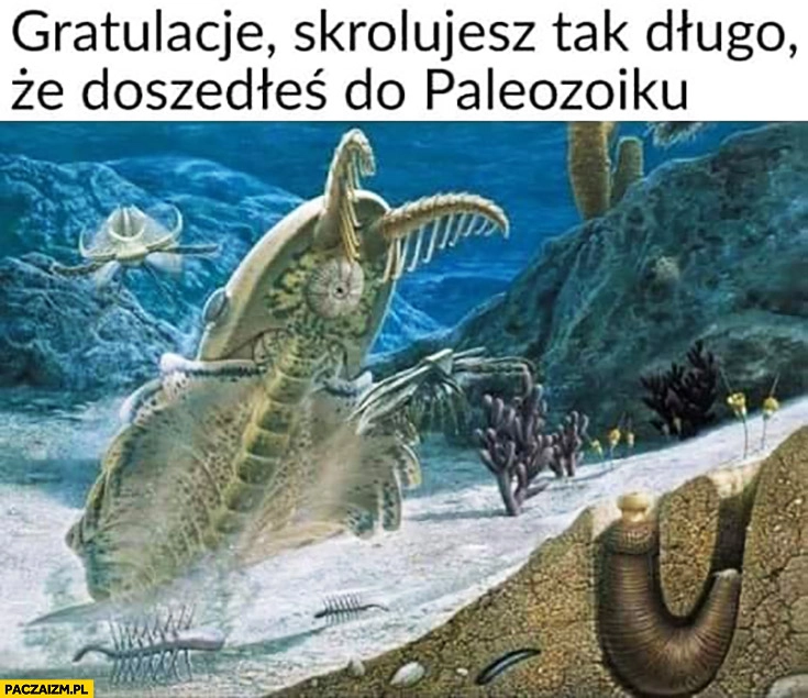 Gratulacje skrolujesz tak długo, że doszedłeś do paleozoiku