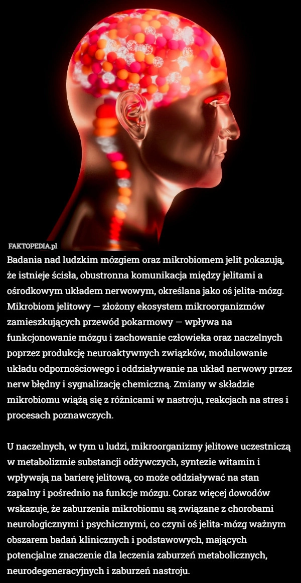 Badania nad ludzkim mózgiem oraz mikrobiomem jelit pokazują, że istnieje