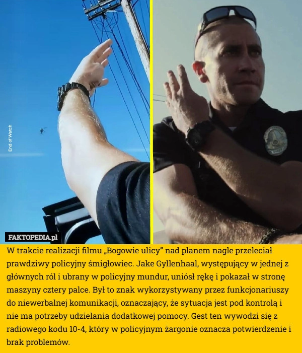 
    W trakcie realizacji filmu „Bogowie ulicy” nad planem nagle przeleciał prawdziwy