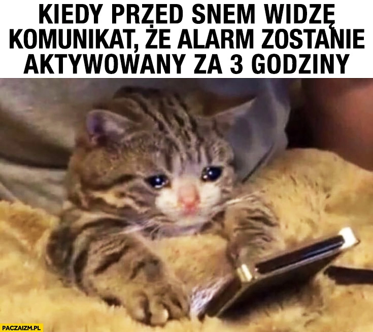 
    Kiedy przed snem widzę komunikat, że alarm zostanie aktywowany za 3 godziny kot kotek płacze
