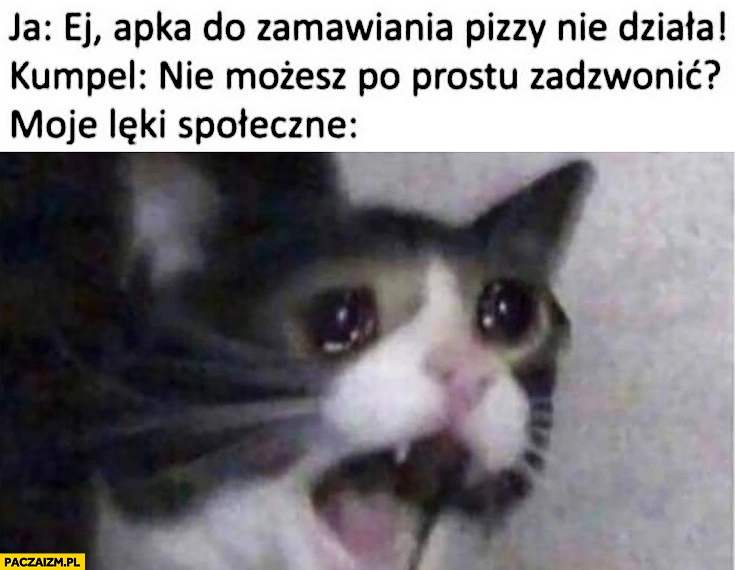 
    Ja: apka do zamawiania pizzy nie działa, kumpel: nie możesz po prostu zadzwonić? Moje lęki społeczne przerażony kot