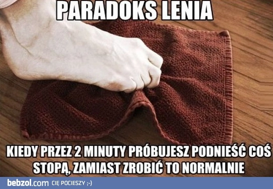 
    Paradoks lenia