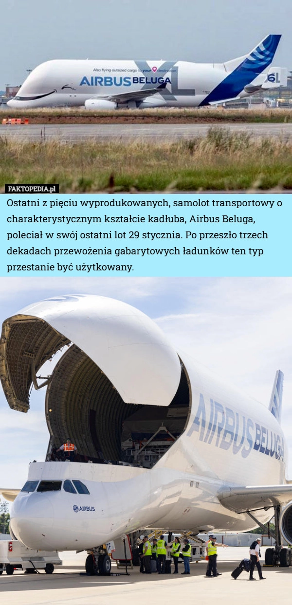 Ostatni z pięciu wyprodukowanych, samolot transportowy o charakterystycznym