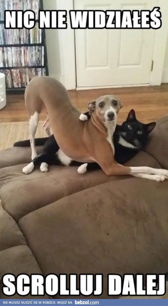 
    To nie tak jak myślisz!