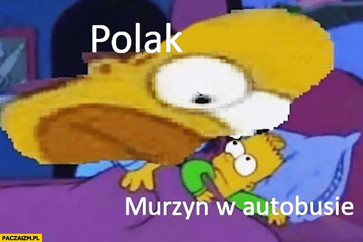 Polak murzyn w autobusie przygląda mu się Simpsonowie