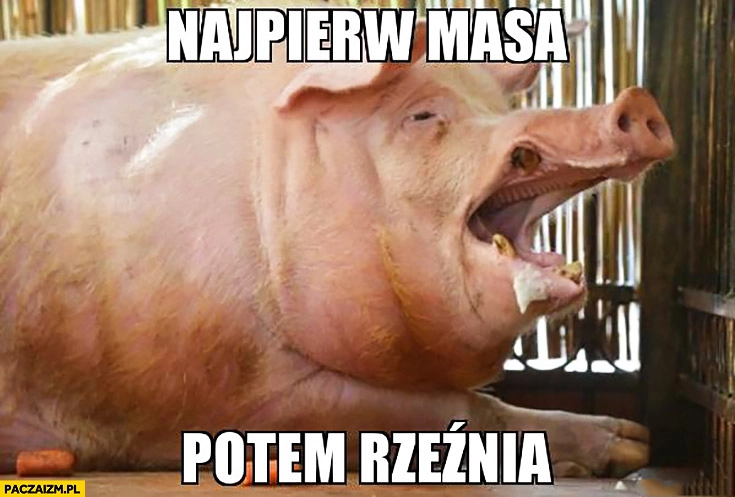 
    Najpierw masa potem rzeźnia świnia
