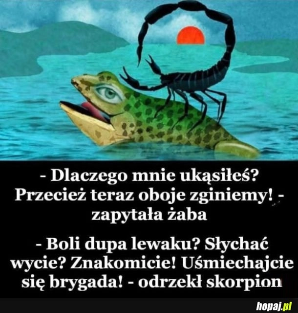 Psuje
