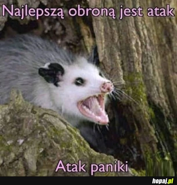 Atakuj atakuj