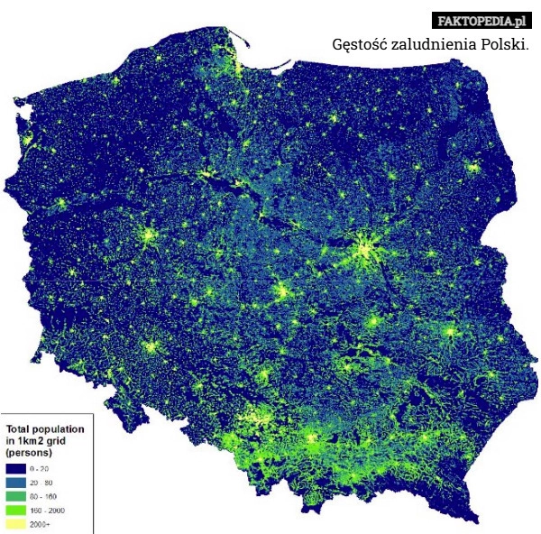 
    Gęstość zaludnienia Polski.