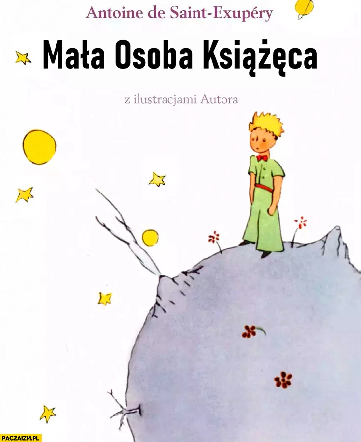 Mała osoba książęca książka mały księżę tytuł