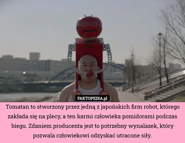 
    Tomatan to stworzony przez jedną z japońskich firm robot, którego zakłada