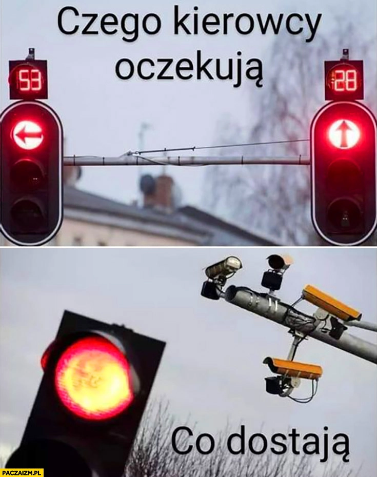 
    Czego oczekują kierowcy odliczanie na światłach sygnalizatorach świetlnych, co dostają kamery rejestrujące przejazd na czerwonym świetle