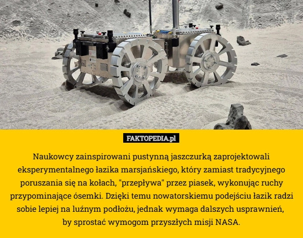 Naukowcy zainspirowani pustynną jaszczurką zaprojektowali eksperymentalnego