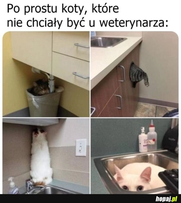 
    Wizyta