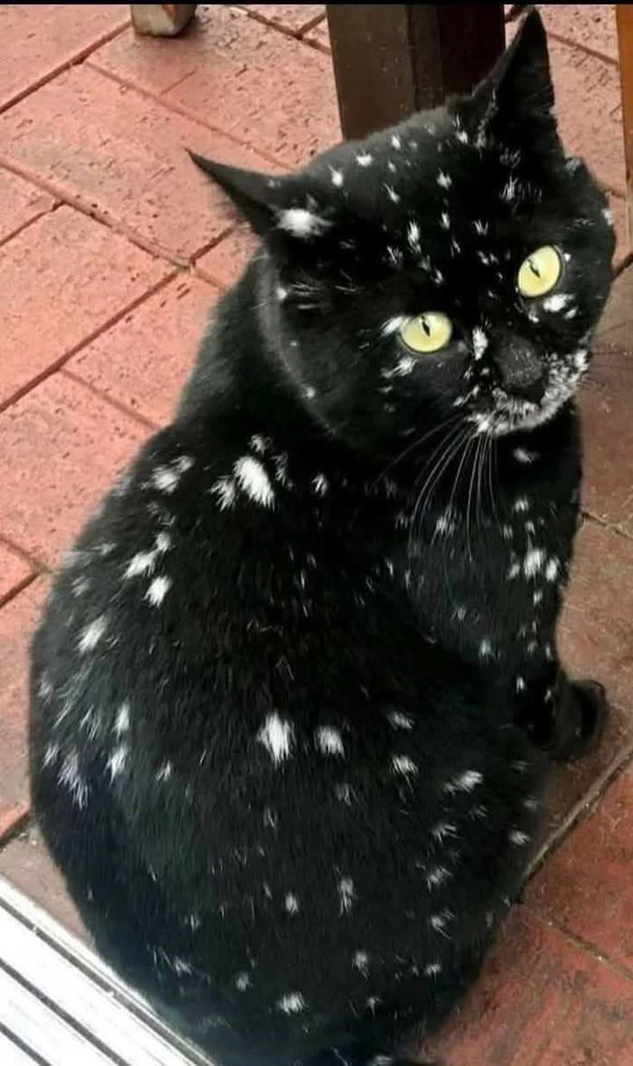 
    I haven’t found a suitable name yet…