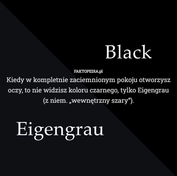 
    Kiedy w kompletnie zaciemnionym pokoju otworzysz oczy, to nie widzisz koloru...