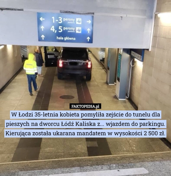 W Łodzi 35-letnia kobieta pomyliła zejście do tunelu dla pieszych na dworcu
