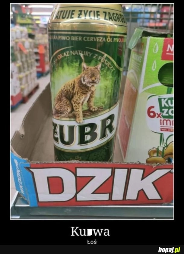 To są zwierzęta które żyją w Polsce
