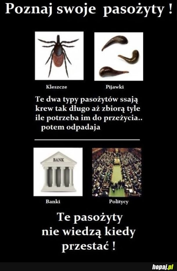 Uważaj na nie