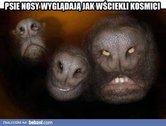 
    Zapewne nie wiedziałeś