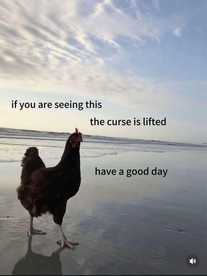 Good day to you too, chicken