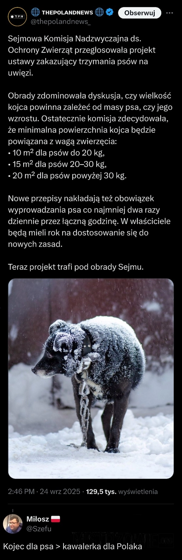 Projekt