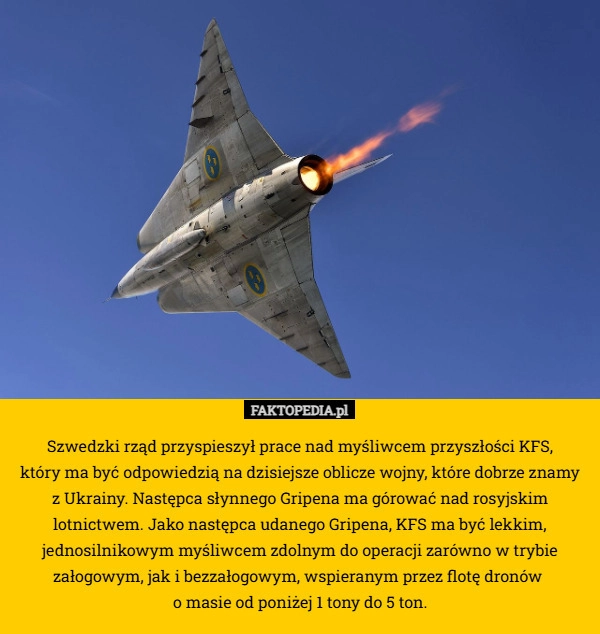 
    Szwedzki rząd przyspieszył prace nad myśliwcem przyszłości KFS,
 który ma