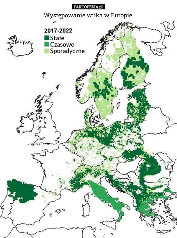 Występowanie wilka w Europie.