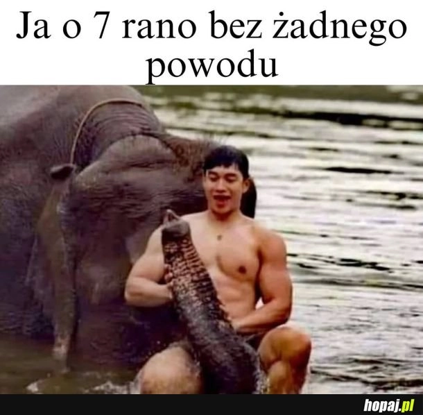 
    Chłopy zrozumiejo