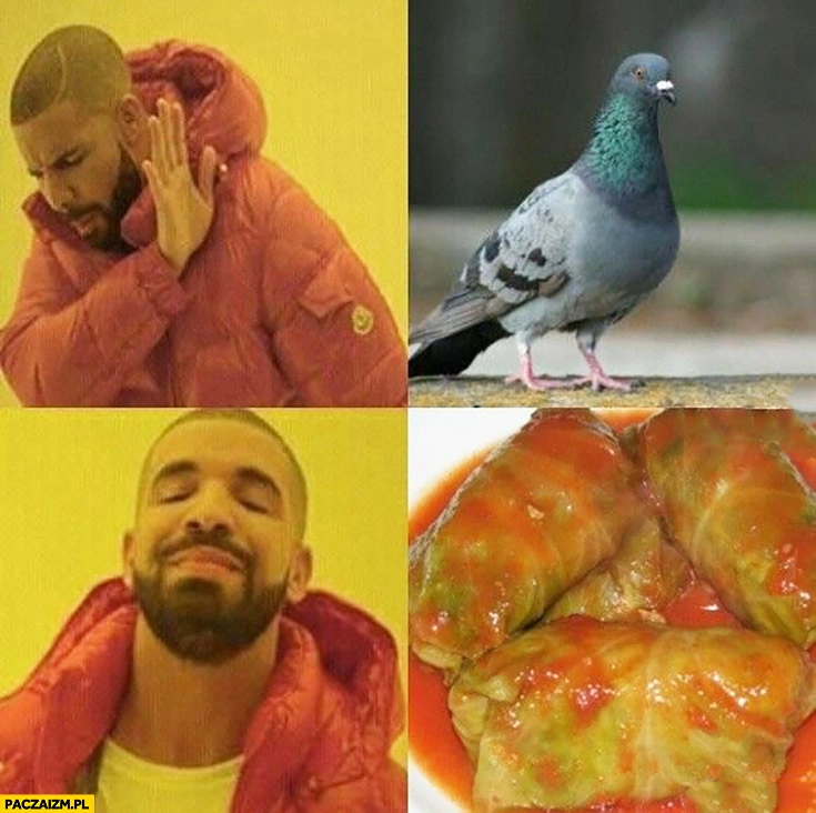 
    Drake gołąb żywy – nie, gołąbki – tak