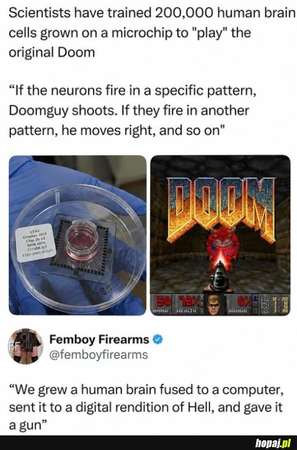 
    Żyjemy w Doomie