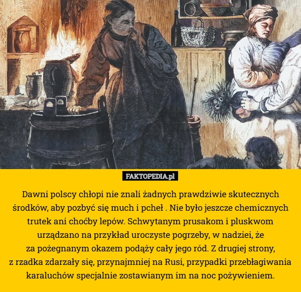 Dawni polscy chłopi nie znali żadnych prawdziwie skutecznych środków, aby