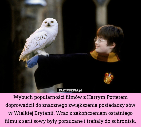
    Wybuch popularności filmów z Harrym Potterem doprowadził do znacznego zwiększenia
