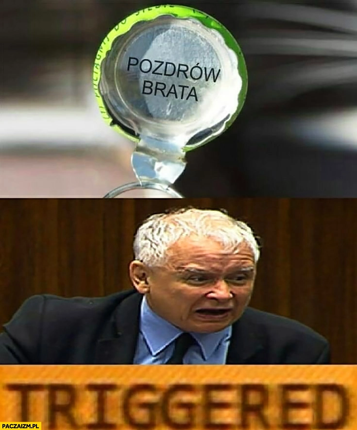 
    Pozdrów brata nakrętka Tymbark Kaczyński triggered