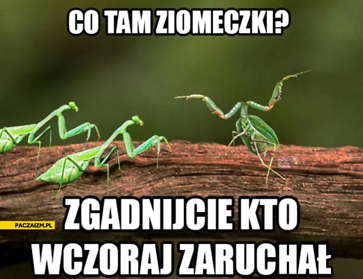 Co tam ziomeczki zgadnijcie kto wczoraj zaruchał