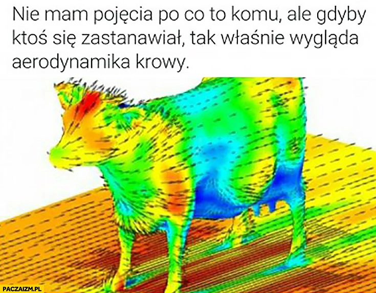 
    Gdyby ktoś się zastanawiał tak wygląda aerodynamika krowy
