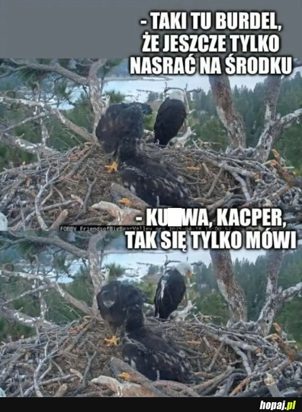 Kacper co ty robisz